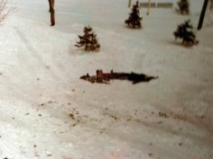 sledding