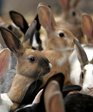 675770