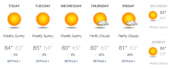 weather0803
