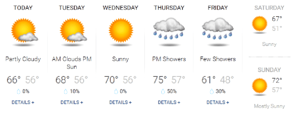 weather1005