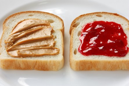 peanut butter & jelly sandwich