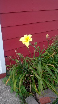 IMG_20160820_192134