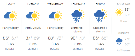 weather0801