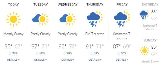weather0808