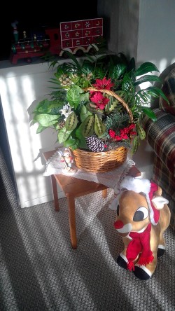 img_20161219_143655